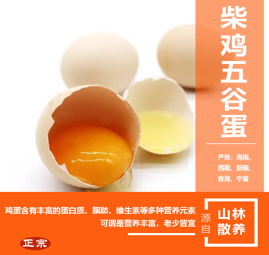 自家山林散养柴鸡五谷蛋，小时候的味道